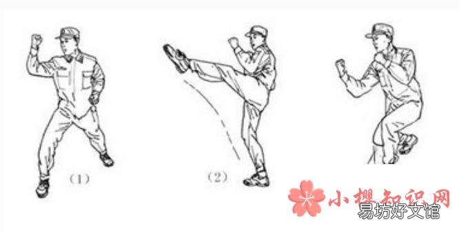 擒敌拳十六动图解