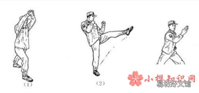 擒敌拳十六动图解