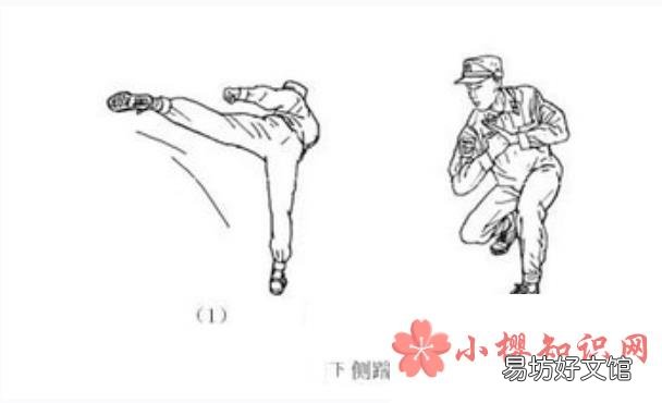 擒敌拳十六动图解