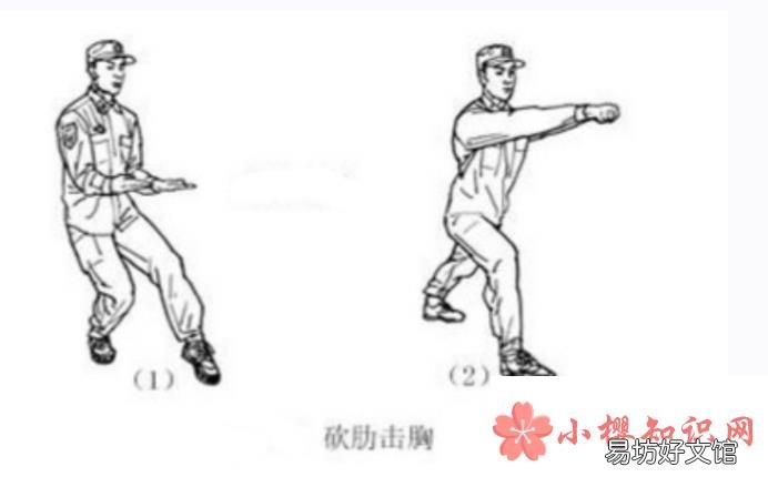 擒敌拳十六动图解