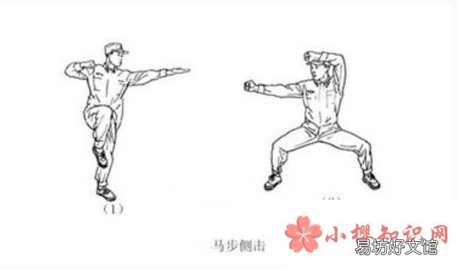 擒敌拳十六动图解