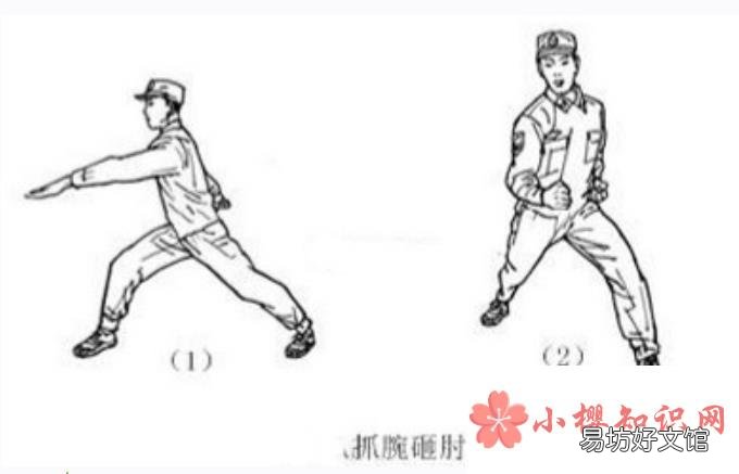 擒敌拳十六动图解