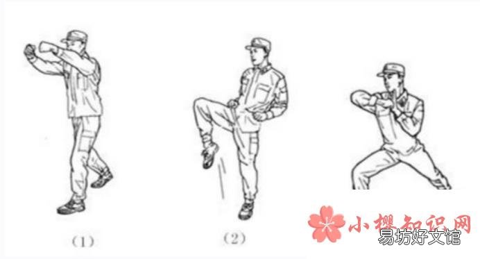 擒敌拳十六动图解