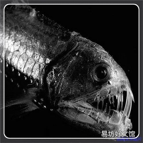 吕梁媒体曝光热线 吕梁在线网