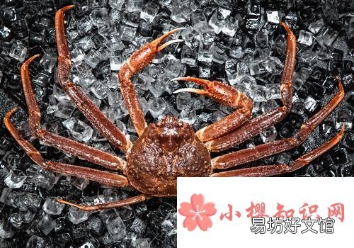 螃蟹怎么保存