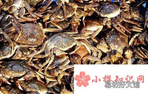螃蟹怎么保存