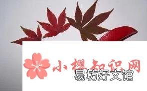 简单好看树叶贴画方法