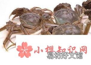 螃蟹怎么养殖