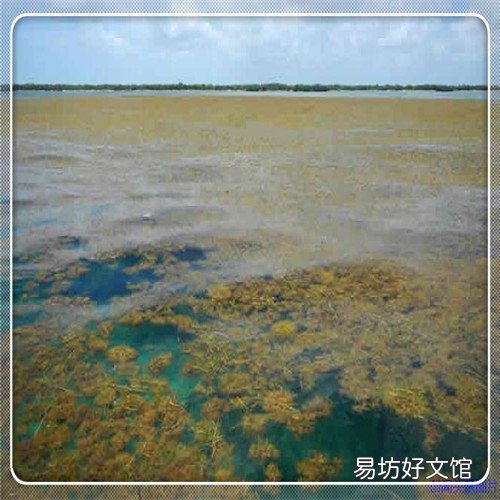 美拍怎么拍照片 在线拍照片