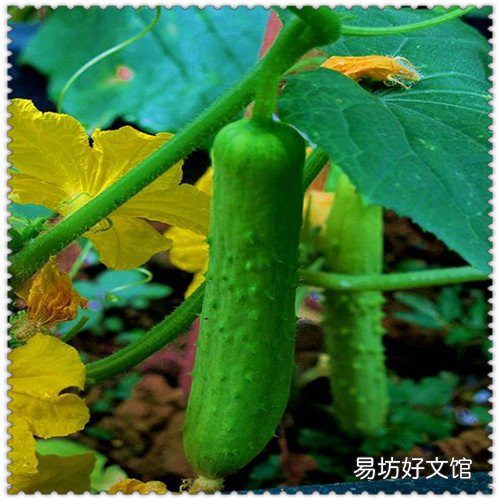 男款沙滩鞋 沙滩凉鞋男款图片