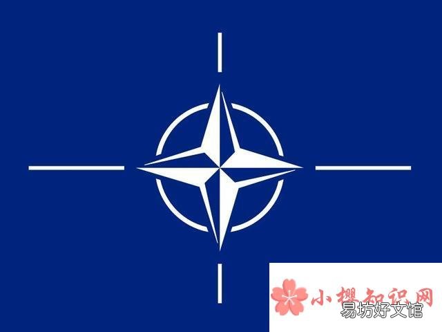 国际上几大常见的组织标志