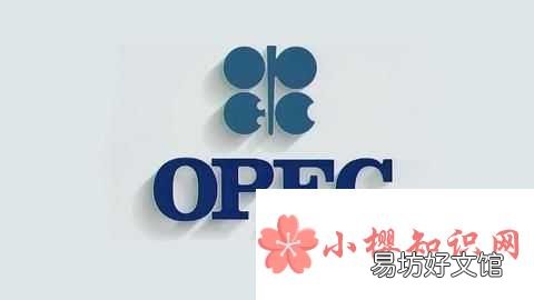 国际上几大常见的组织标志