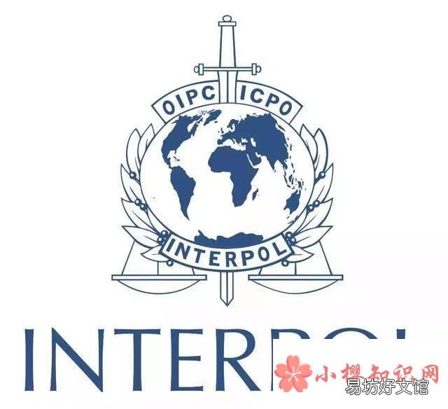 国际上几大常见的组织标志