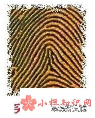 手指上的斗和簸萁