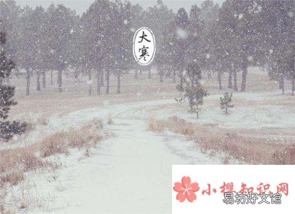 祝福优美句子，藏在美好祝愿中的寒寒之美