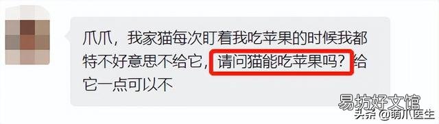 猫可以吃水果吗(宠物猫可以吃水果吗)
