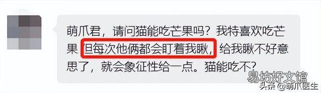 猫可以吃水果吗(宠物猫可以吃水果吗)