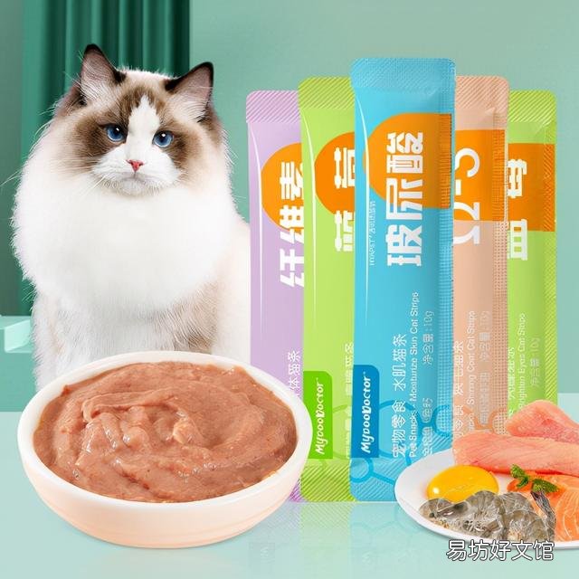 猫条什么牌子好(猫条什么牌子好又便宜)