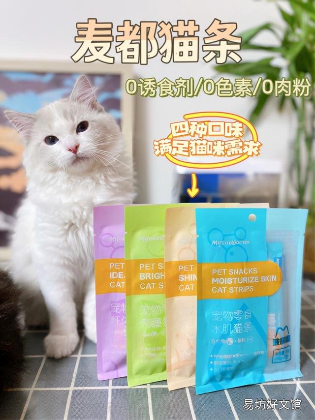 猫条什么牌子好(猫条什么牌子好又便宜)