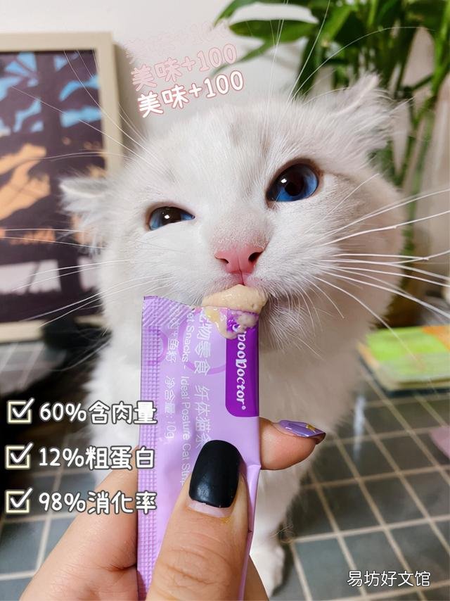 猫条什么牌子好(猫条什么牌子好又便宜)