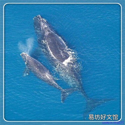 李白《蜀道难》原文及翻译 蜀道难李白