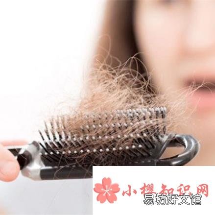 每天掉多少头发算正常?
