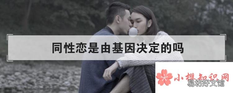 同性恋是由基因决定的吗