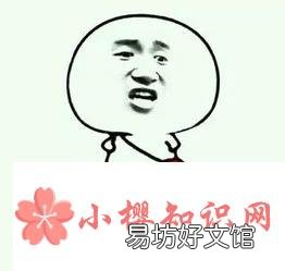 网络语言xxs是什么意思?