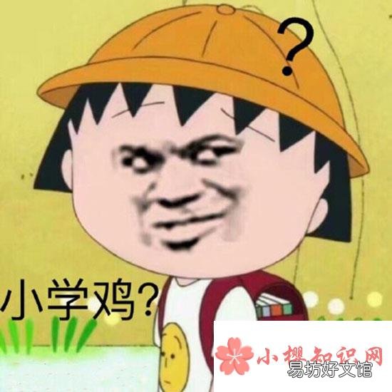 网络语言xxs是什么意思?