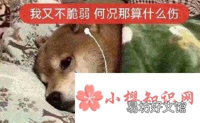 有哪些网抑云的伤感语录?