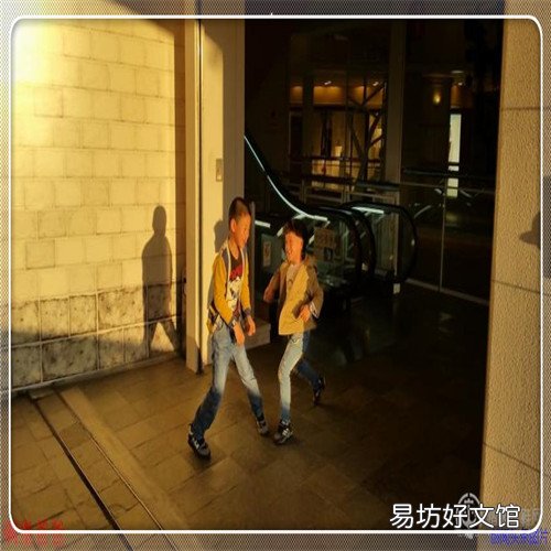 约瑟夫·霞飞 尼尔·伍德