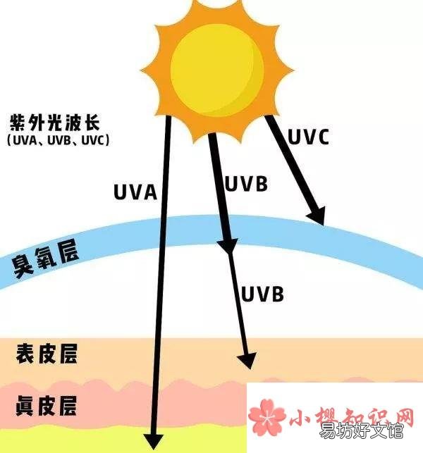 防晒PA代表什么意思?