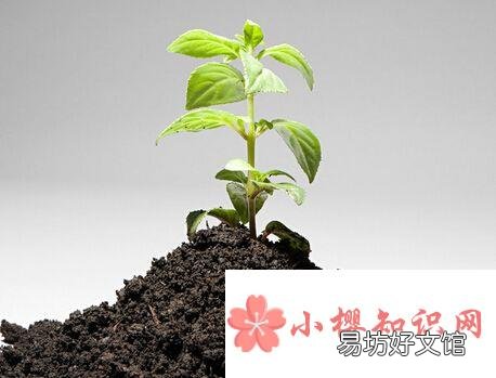 奕字取名寓意好吗?