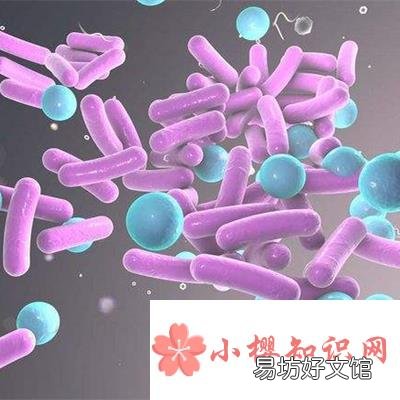 mic是什么意思?