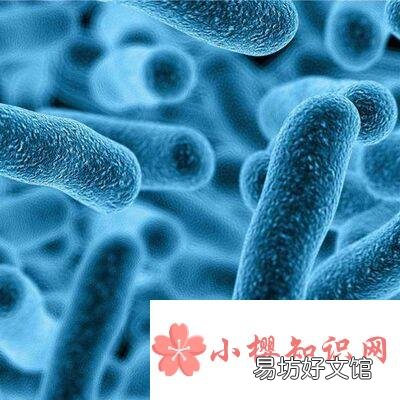 mic是什么意思?