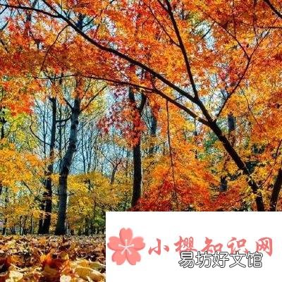 一年好景君须记最是橙黄橘绿时是什么意思？