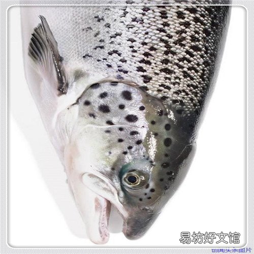 男生名字清扬 清扬的意思