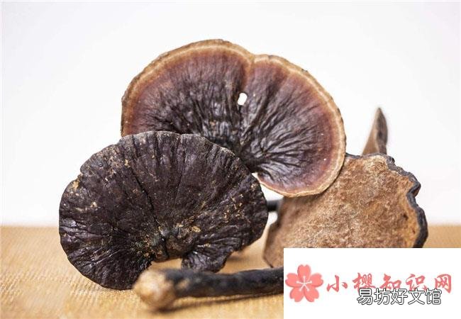 灵芝不适合什么人吃?