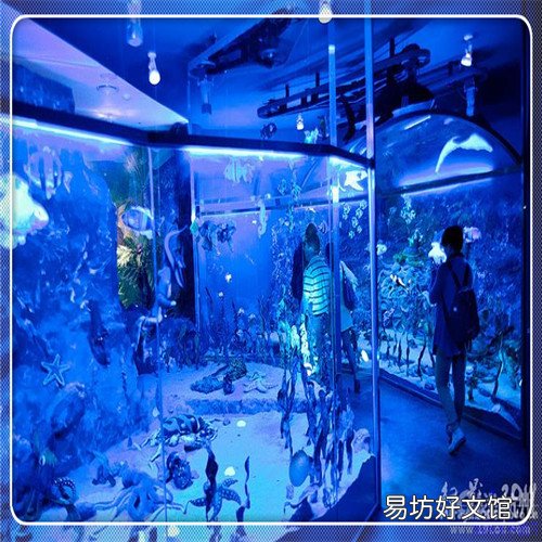 海报设计 海报时尚网
