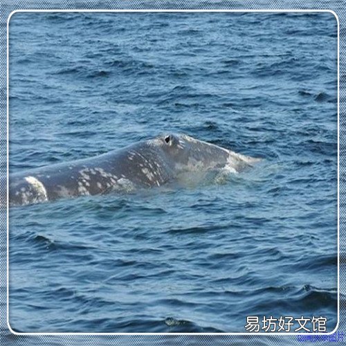 点点滴滴的爱电视剧 点点滴滴的爱