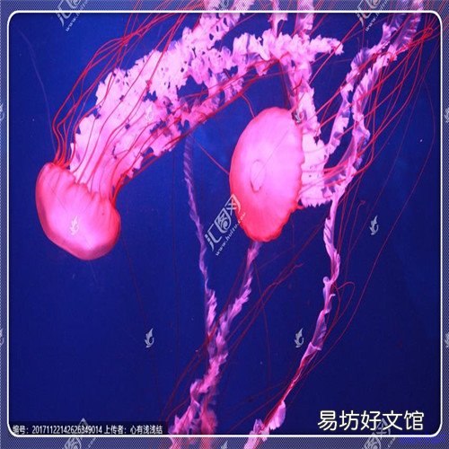 040001基金07年买现在怎么卖 华安创新基金