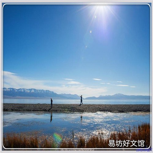 乌江白茶多少钱1斤 乌江在哪里