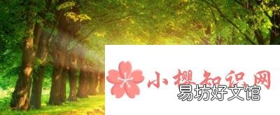 am是上午还是下午？