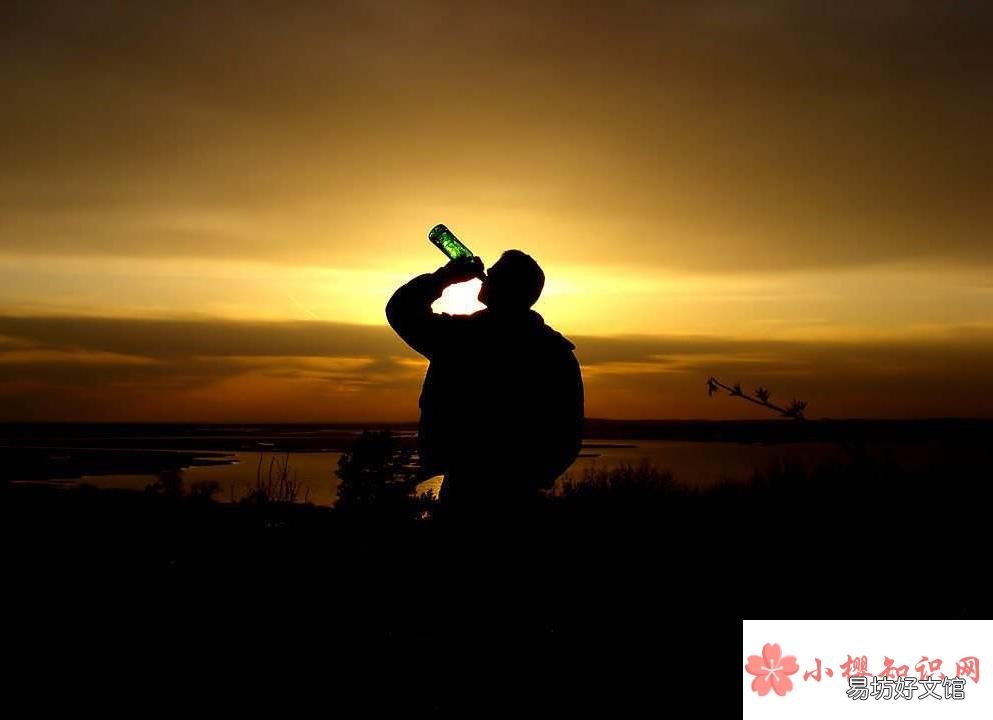 酒后感慨的经典句子有哪些?