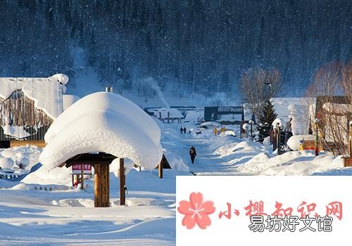 什么时候数九开始？