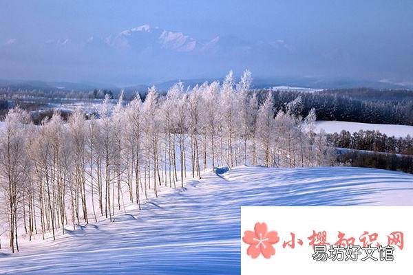 什么时候数九开始？