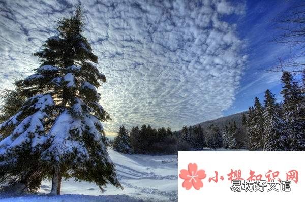 数九寒天第一九开始于哪一天?