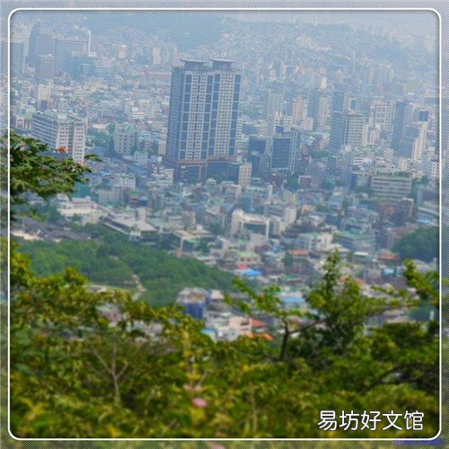 顺德美食排行榜前十 顺德双皮奶