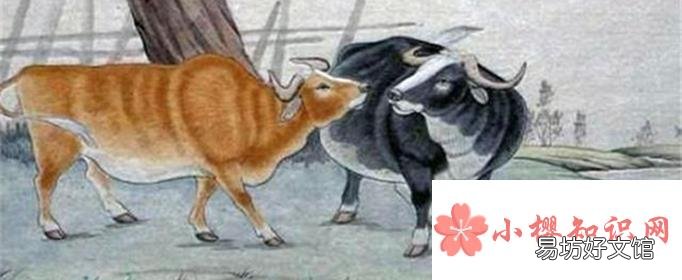 2021年是属什么年?