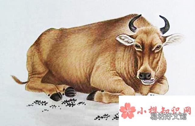 2021年是属什么年?